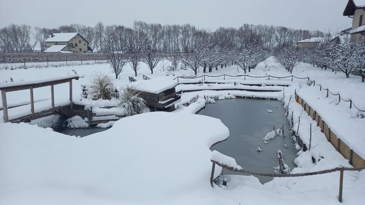 Casa Danei Hotel Brasov Luaran gambar